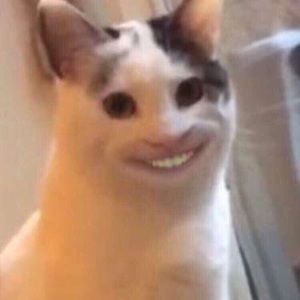 Meet your Posher, Itzel